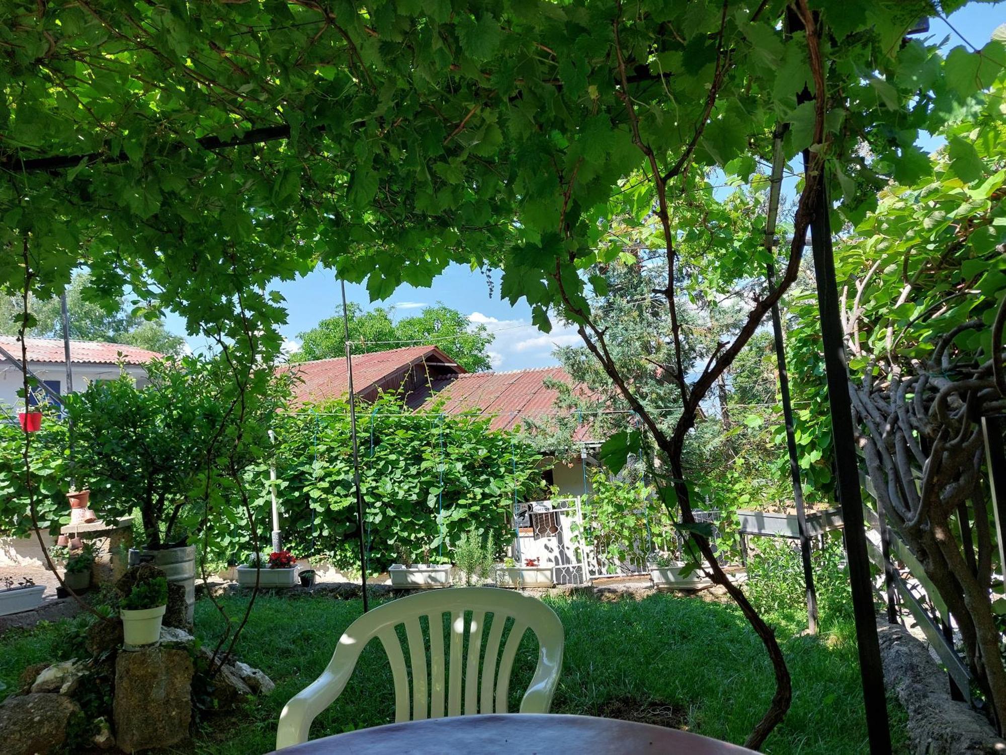 Vila Visni Lagadin Camera foto